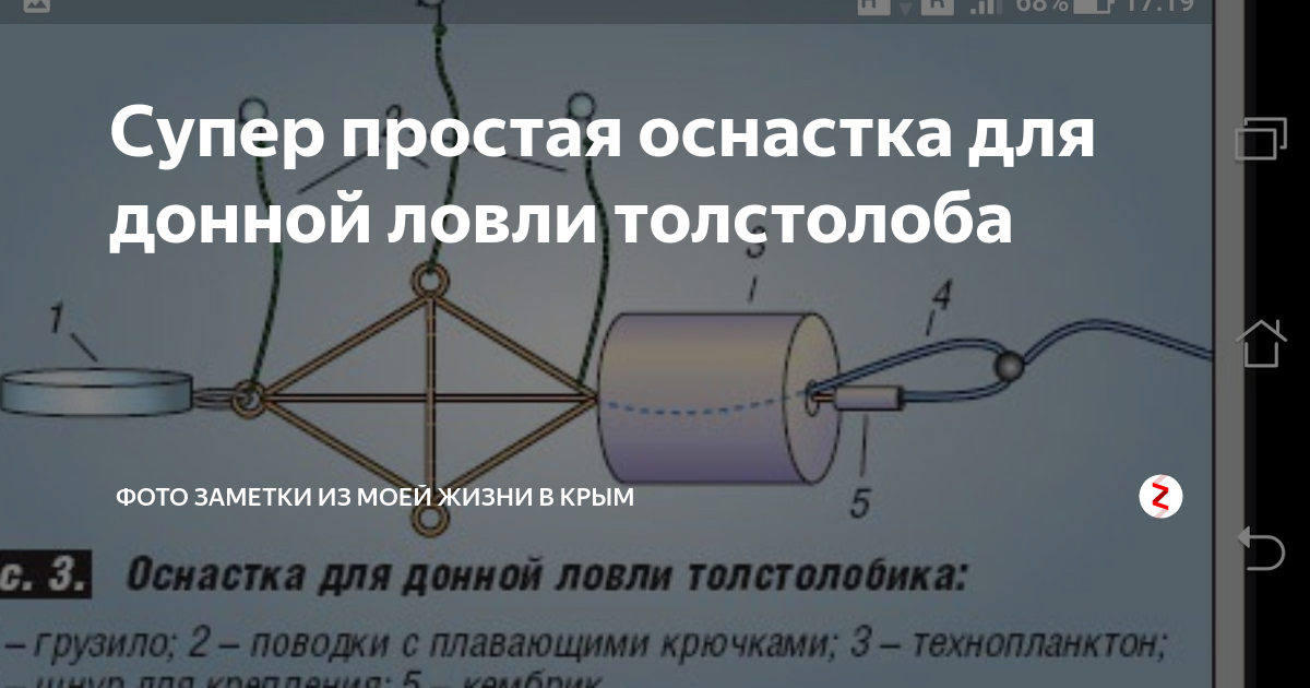 Схема монтажа на толстолобика