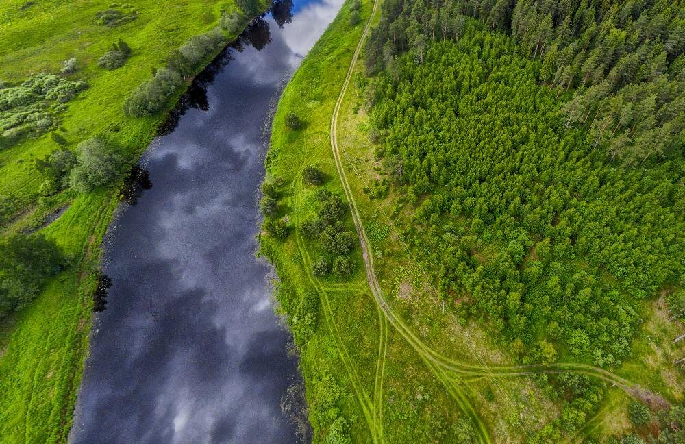 кадр из сферической аэропанорамы над местом, где я обычно заготавливаю ветки для веников