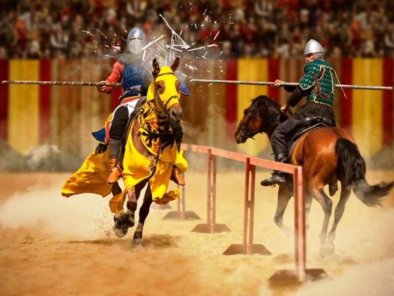 Более компетентные, а то и просто расторопные мастера открывают по несколько залов, которые напоминают средневековые графства. Часто бароны, графы и герцоги приносят вассальную клятву "некоронованным" королям мира единоборств, которые управляют федерациями-королевствами. Король выдает принесшему ему присягу тренеру-вассалу сертификат на преподавание того или иного стиля единоборства. Верность как присяге, так и своему сюзерену полагается хранить. Хотя... если условия, которые предлагает сюзерен, не нравятся вассалу, он вполне может подыскать другого короля, принести новую вассальную клятву и получить новый сертификат. При этом, естественно, в новую федерацию-королевство за тренером уходят все его ученики, так как «Вассал моего вассала не мой вассал».