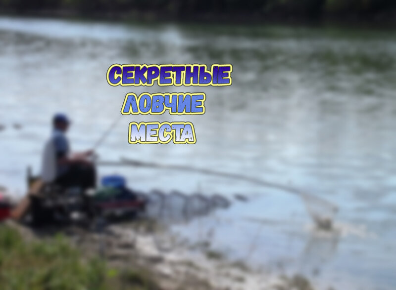 рыбалка в ростове рыбалка в ростовской. где ловить на дону. рыбалка на белого амура на дону в воронежской области. рыбалка в ростове рыбалка в ростовской. остров межонка аксай.