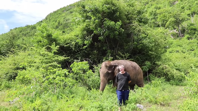 Скриншот/Paul Barton/youtube.com