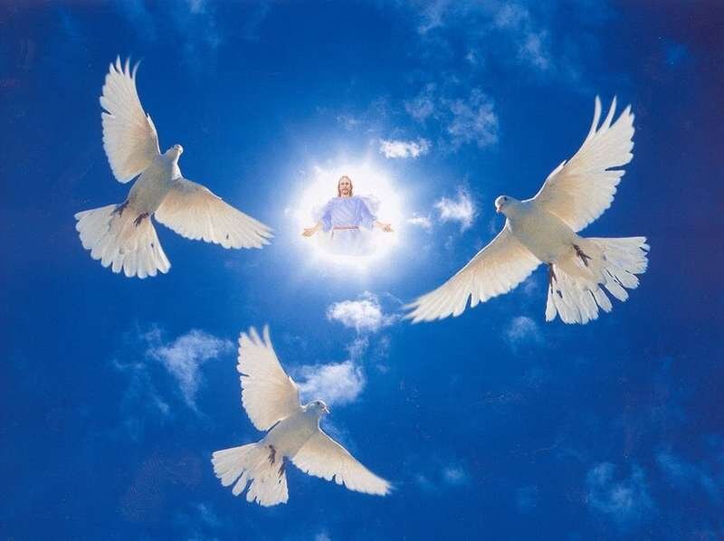 фото взято с просторов инета. Благодарю автора за снимок.