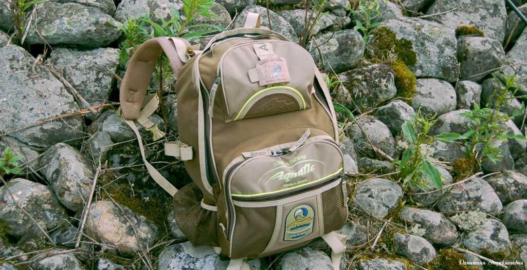 Источник картинки: encdom.ru