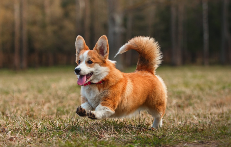 Лайк бегуну! 😊 😋