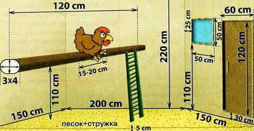 Как построить птичник на 10-20 кур своими руками