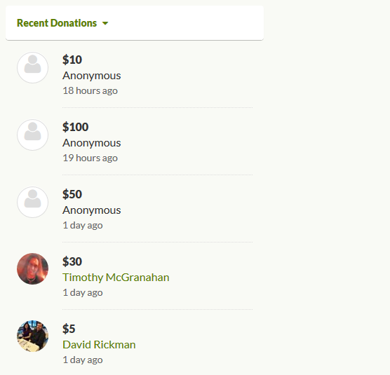 Источник: gofundme.com