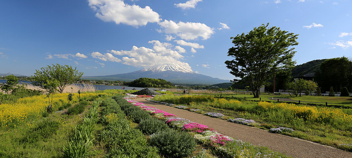 Фото: https://en.kawaguchiko.net/park-en/oishi-park/