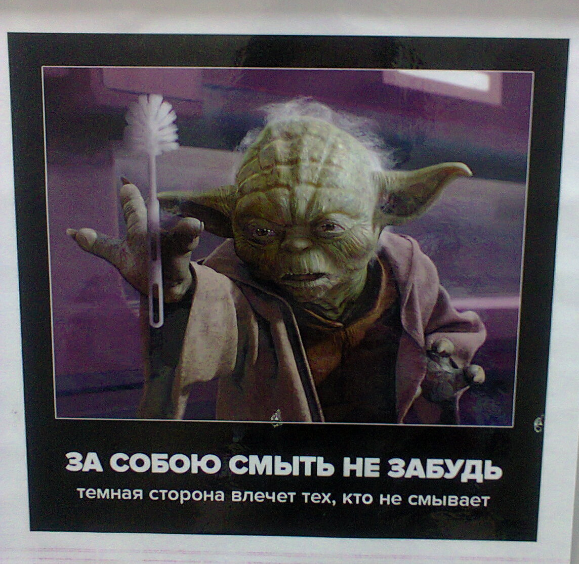 Главное вовремя смыться картинки