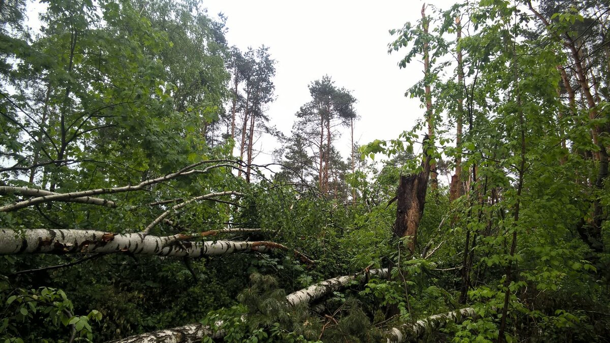 Погода в Хельсинки