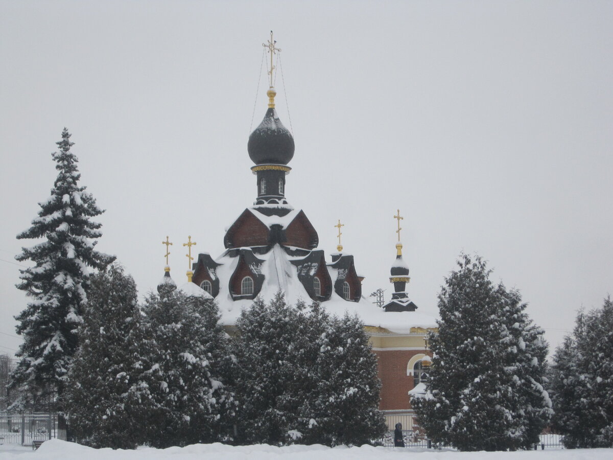 Зимой и летом одним цветом