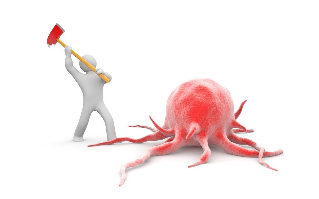 Рак не развивается в одночасье. Поэтому употребление противораковых продуктов и другие изменения в образе жизни могут предотвратить его появление. Конечно, вам решать, использовать ли эти советы, и вы всегда можете посетить врача в случае возникновения проблем. 