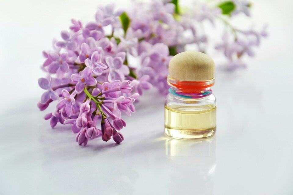 Источник фото: pixabay.com