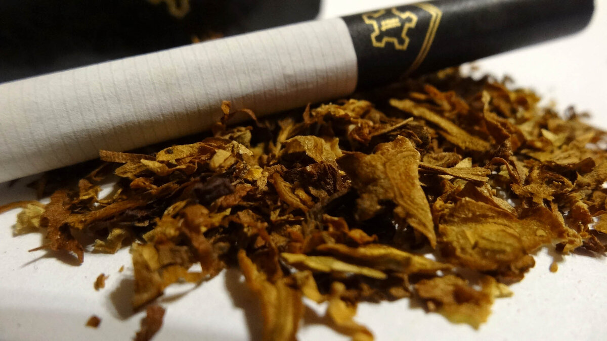 сигареты lf red. цитадель сигареты армейские. болгарский производитель табака. калининградская табачная фабрика продукция. американские папиросы.