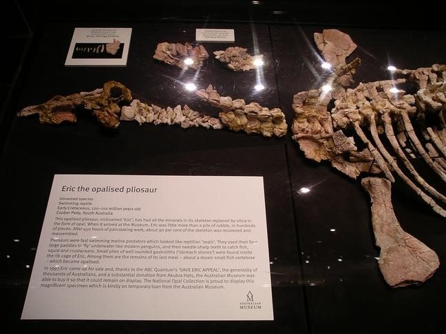 https://www.opalauctions.com/learn/opal-information/eric-the-opalized-pliosaur