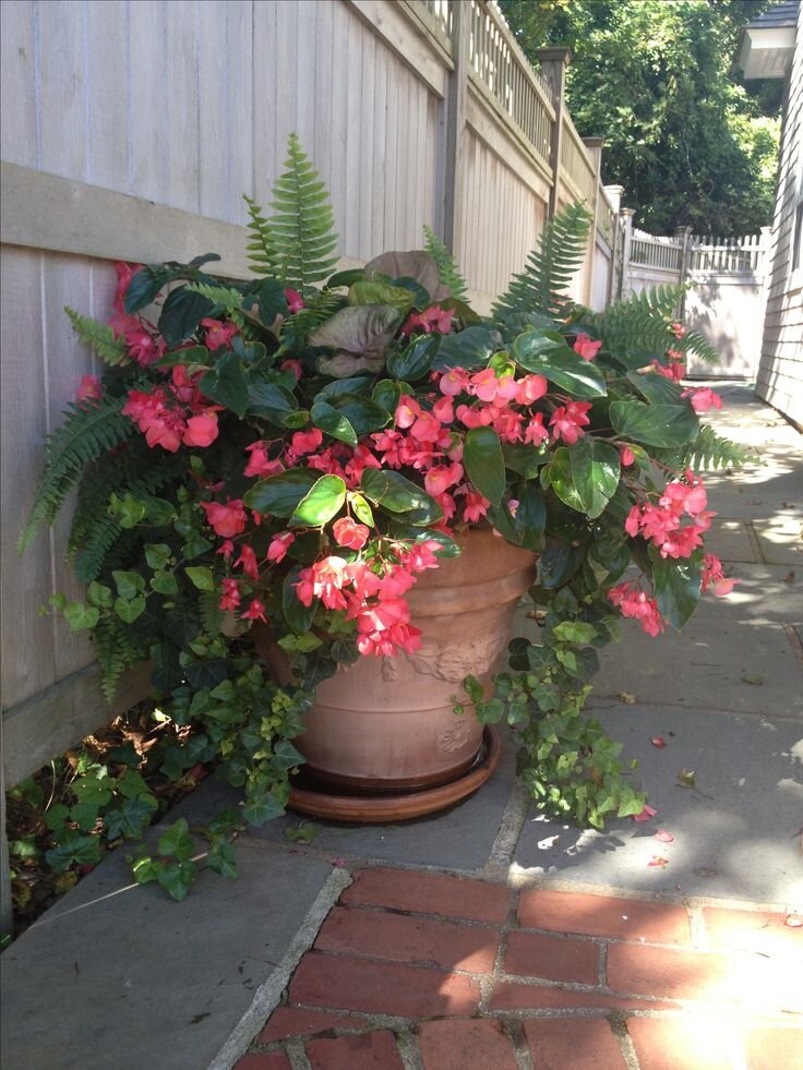 Фото из интернета