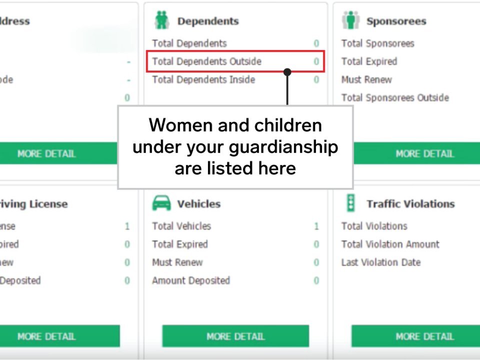 Интерфейс приложения показывает, у скольких женщин вы опекун и сколько у вас детей. Программа также хранит большую часть вашей повседневной информации.