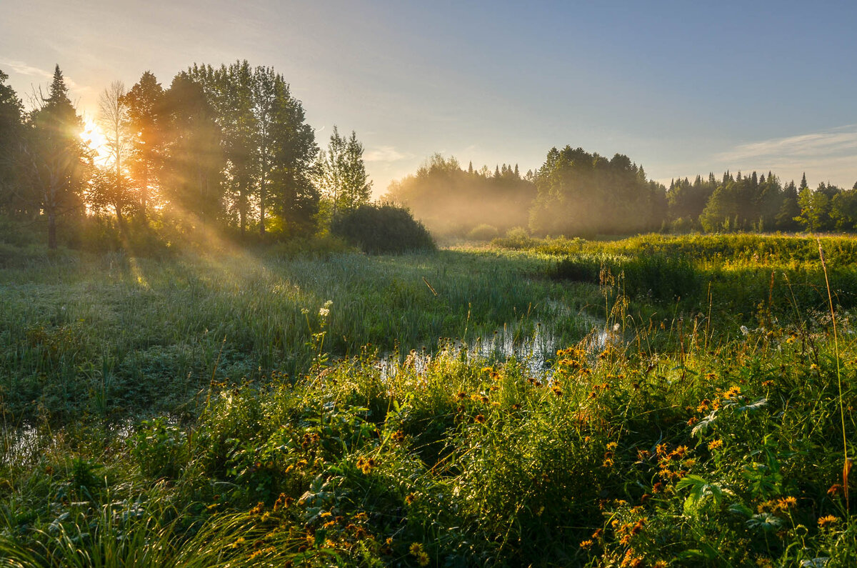 Фото с сайта: https://prosto-foto.ru/user204/?wall&p=152