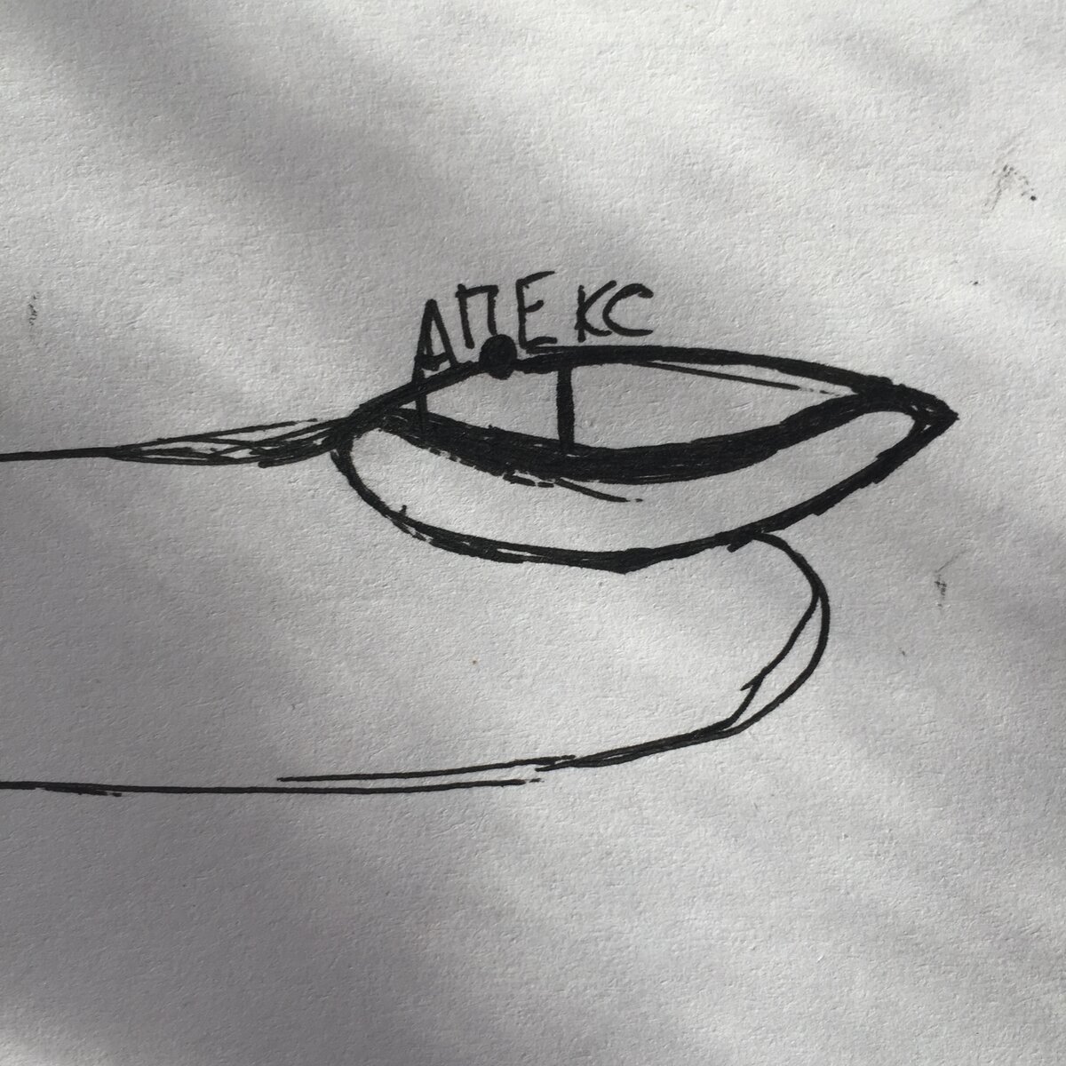 Апекс трамплиновидного ногтя