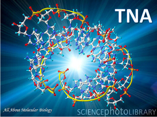 Молекула ТНК. Источник изображения: PASIEKA / SCIENCEPHOTOLIBRARY