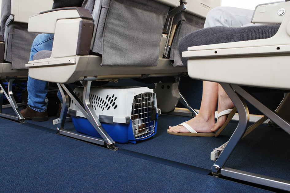(Источник фото: flightspro.co.uk). 