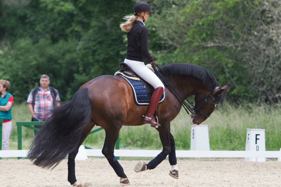 Источник фото сервис Яндекс.Картинки