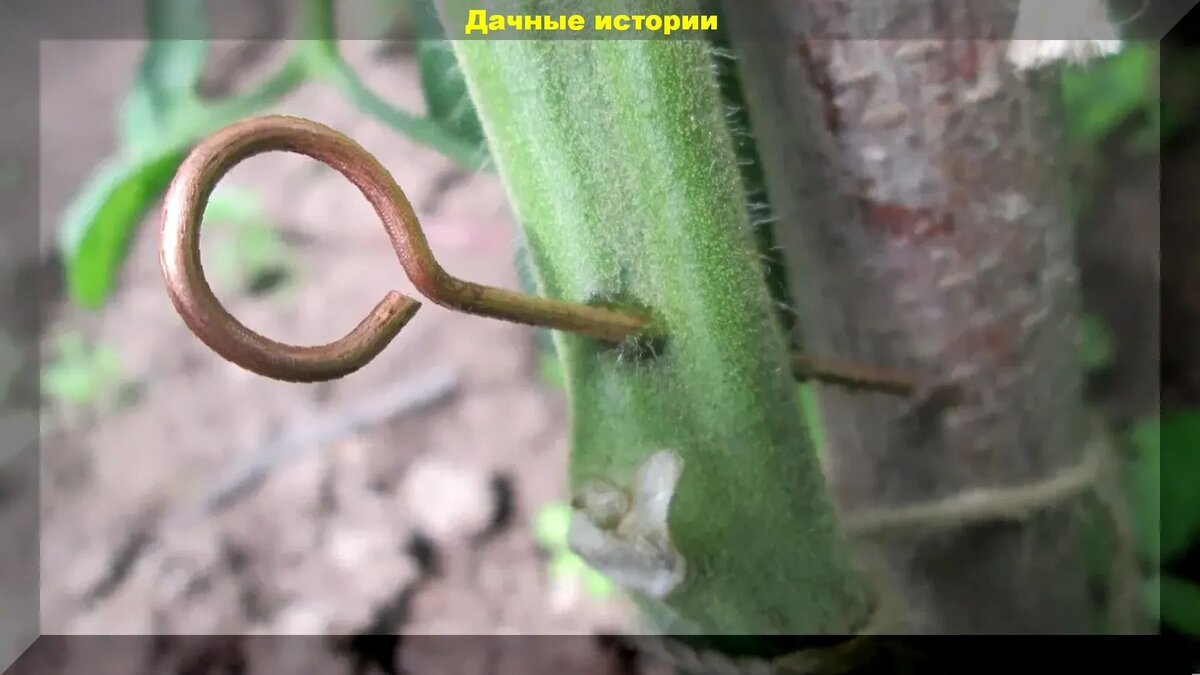 https://vk.com/photo-159774511_456241552