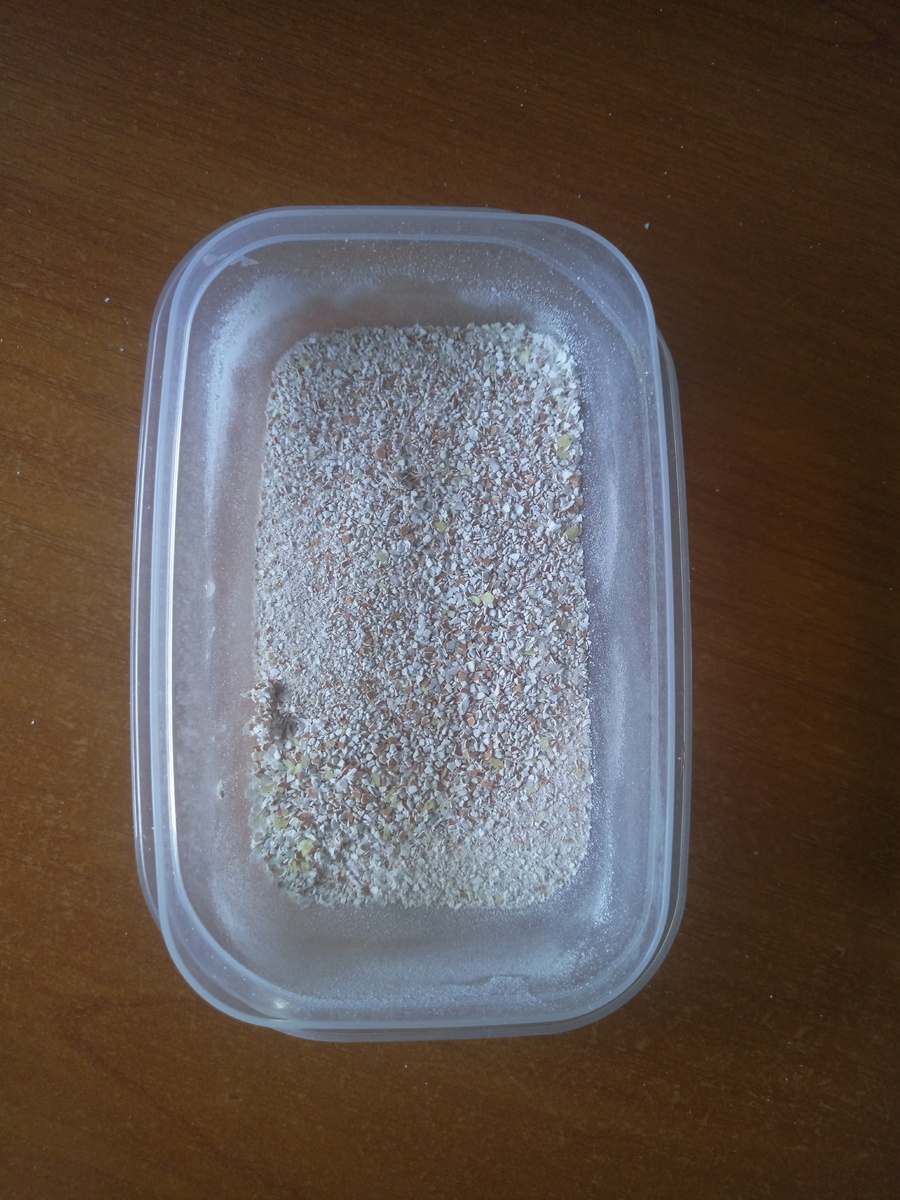 Этого количества будет достаточно. 