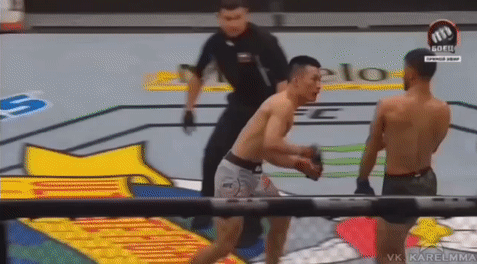 UFC Fight Night 139. Лучший нокаут 2018 года.