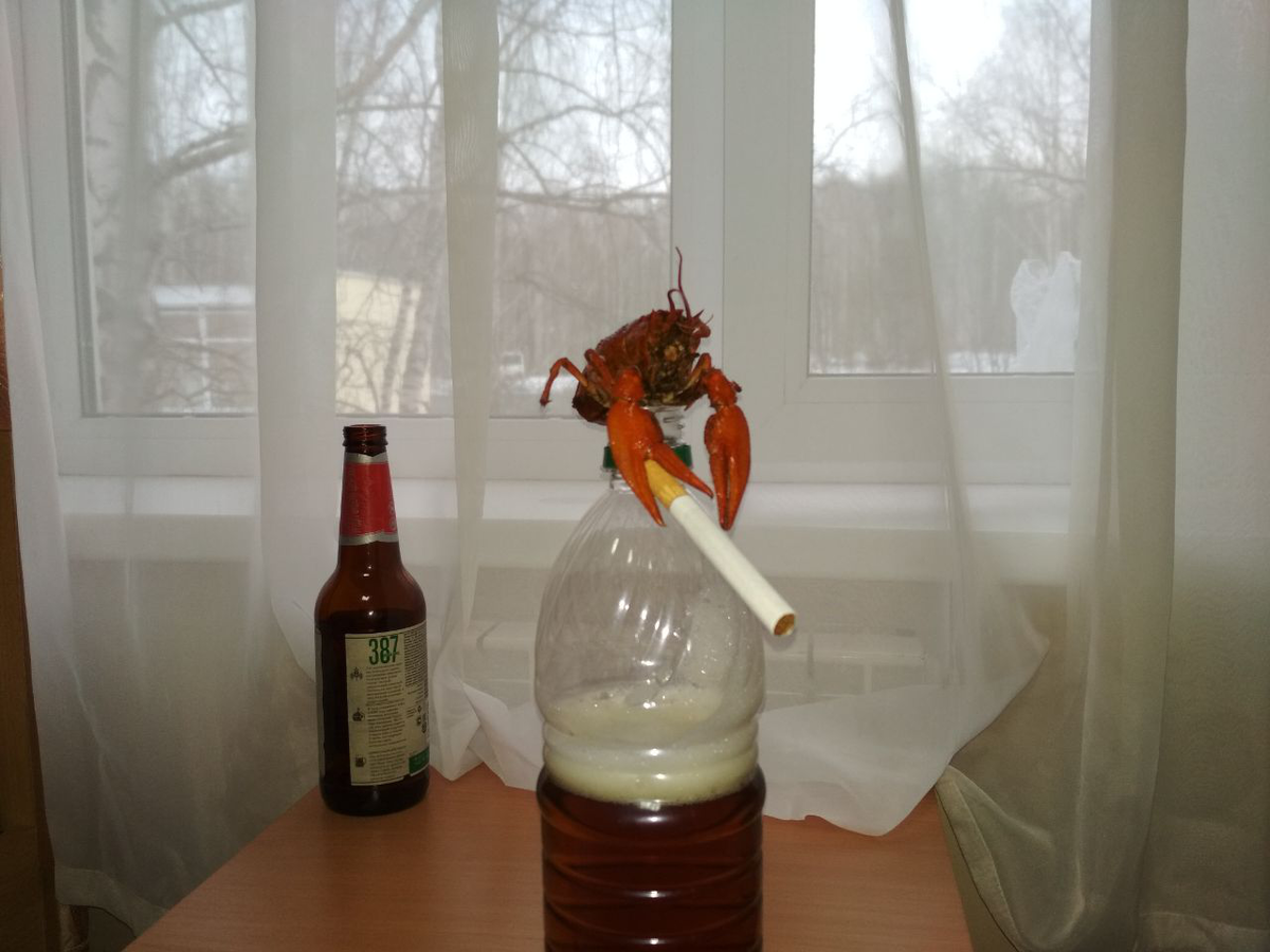 Каким не должен быть отдых!