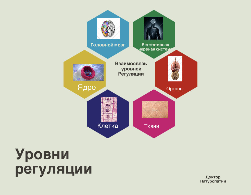 Круг замкнулся