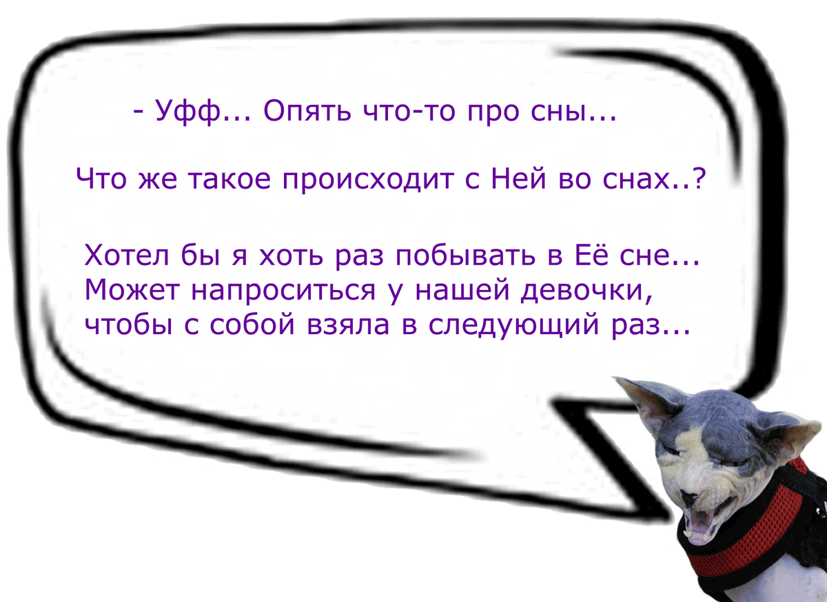 (Кошачьи диалоги)
