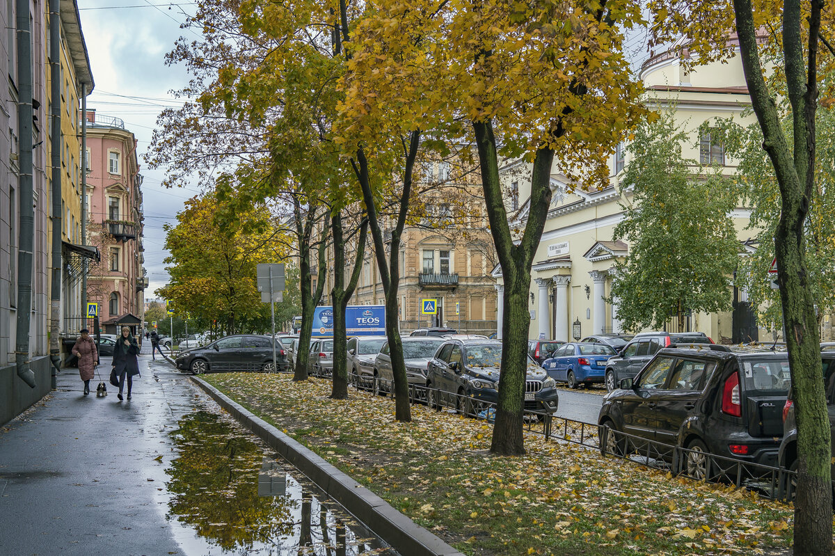 Город октябрь. Ул Союза Печатников 25а Санкт-Петербург. Сад Печатников Санкт-Петербург. Сад Печатников СПБ. Золотая осень в Санкт-Петербурге.