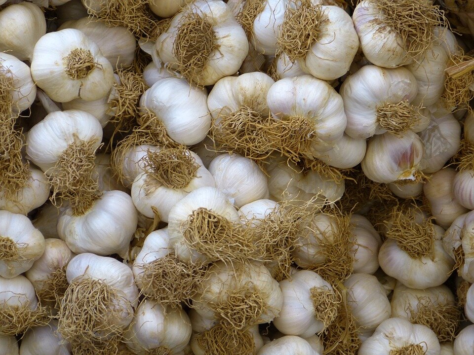 https://cdn.pixabay.com/photo/2012/11/07/18/04/garlic-65280_960_720.jpg