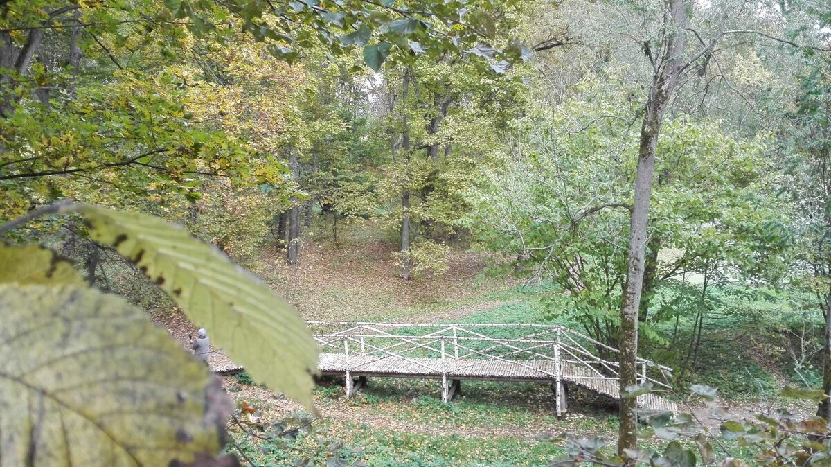 Нижний пруд