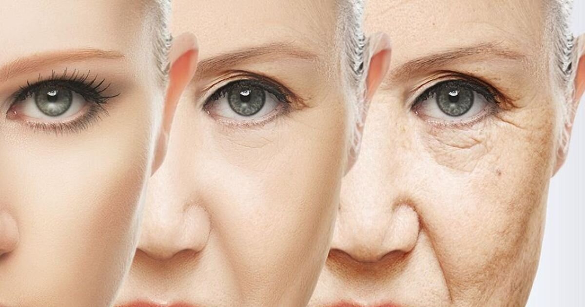 Источник: Яндекс. Картинки