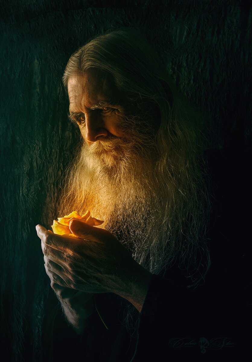 Яндекс. Картинки.