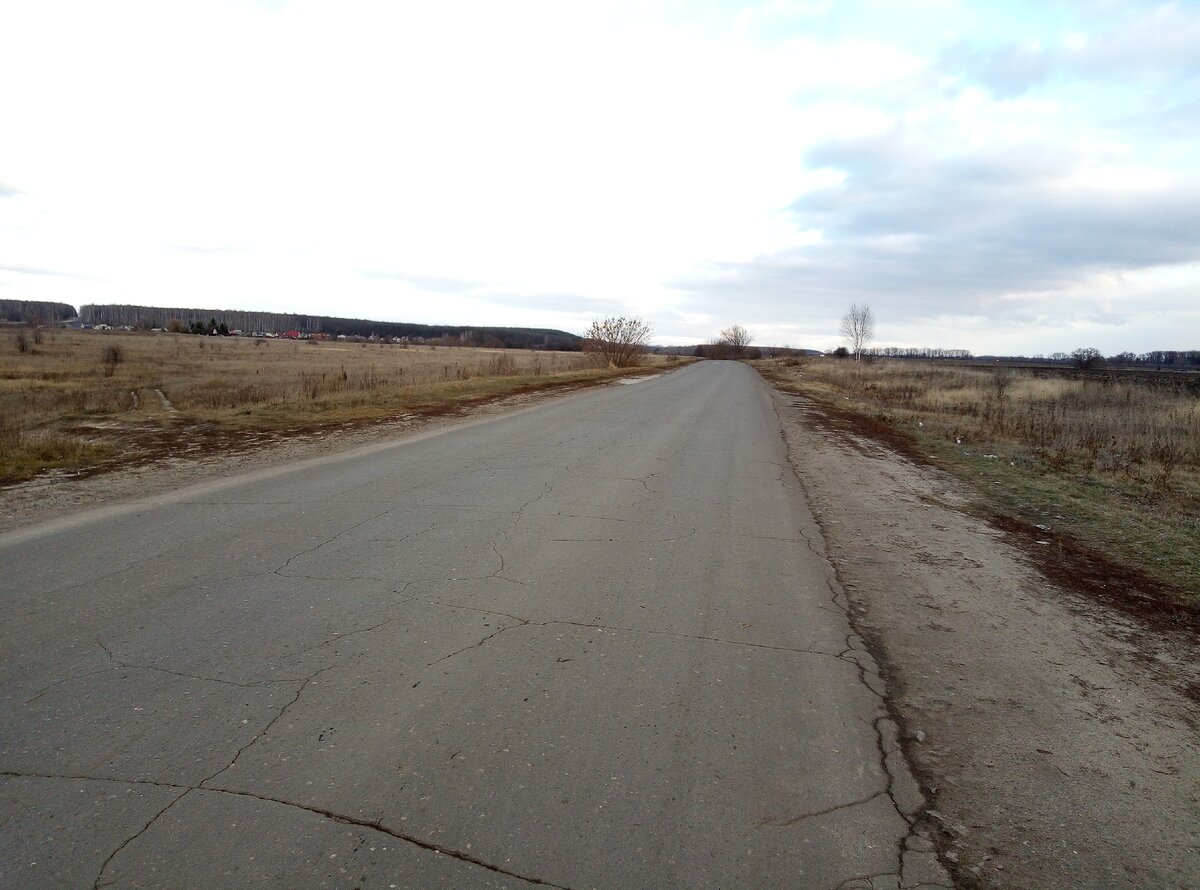 Дорога в районе города Мичуринска