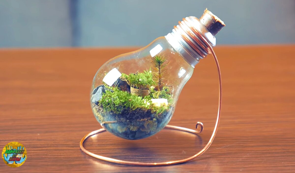 Из открытых источников