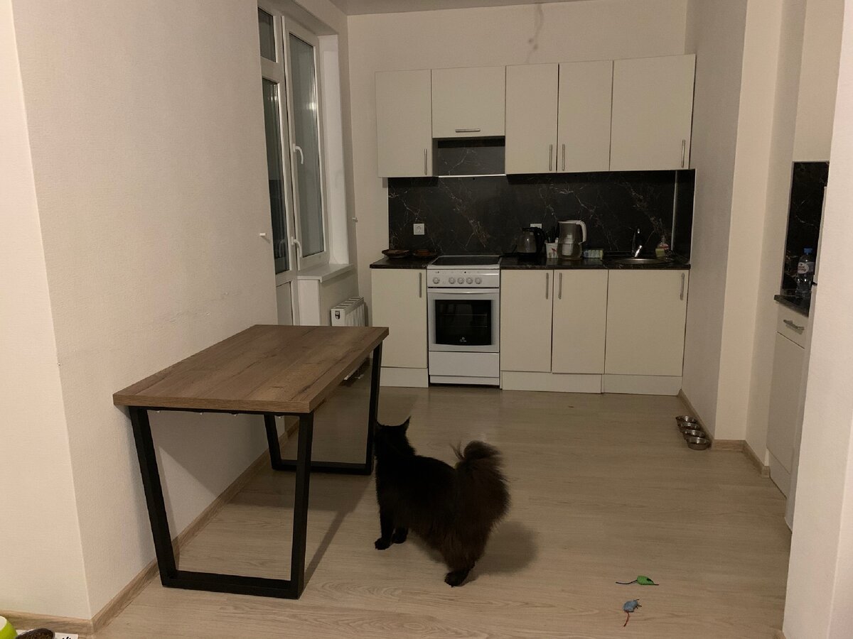 Обживается 