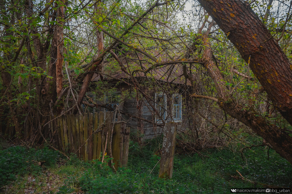 Самое уютное село Чернобыльской зоны отчуждения. Остался тут на 2 дня, рассказываю что происходит вокруг