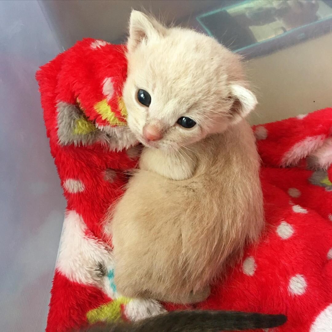 Это галерея. Листайте фотографии дальше (фото 1 из 2)