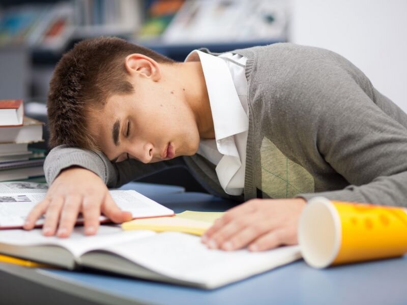 фото из интернета