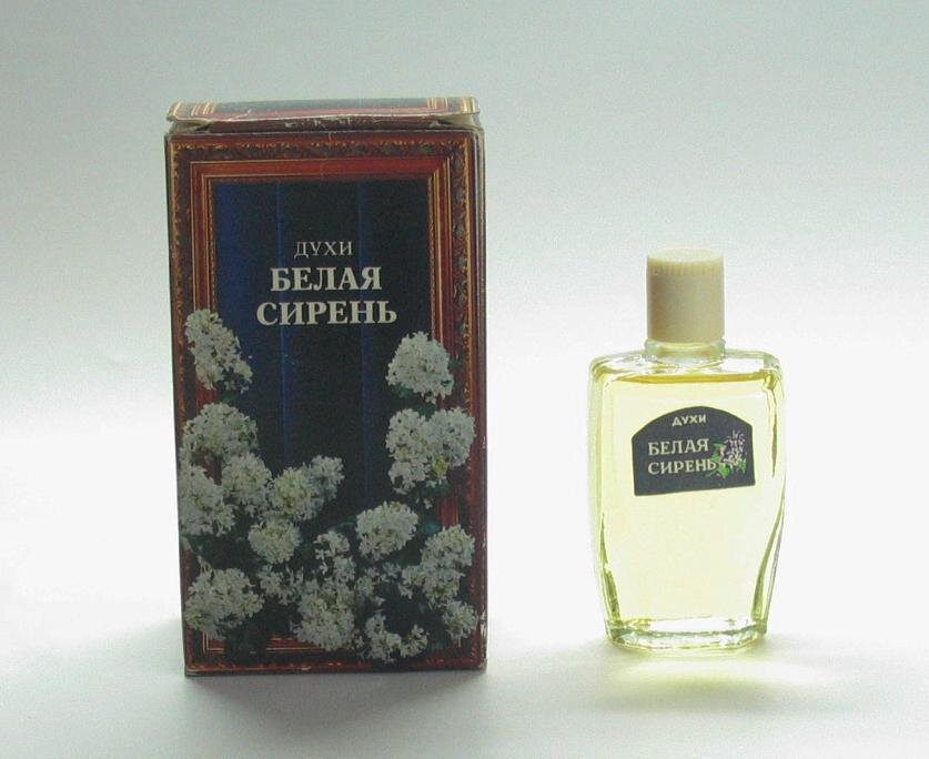 Фото из сети Интернет