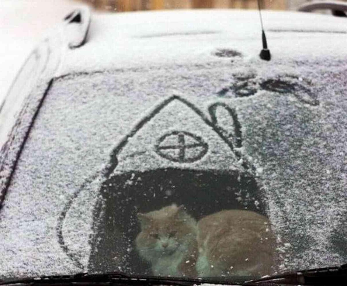 Смешные машины зимой