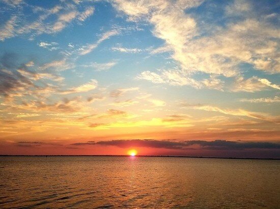 Фото - pxhere.com.