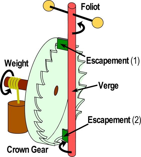 Механизм спуска часов, как метафора для белков, работающих как демоны Максвелла. Балансный механизм качается назад-вперёд в часах как маятник. Основные детали, позволяющие отслеживать хронометраж, промаркированы. Основная функция регулятора хода показана двумя тёмно-зелёными лезвиями, контролирующими продвижением коронки в механических часах. Credit: Carter, UNC School of Medicine.
