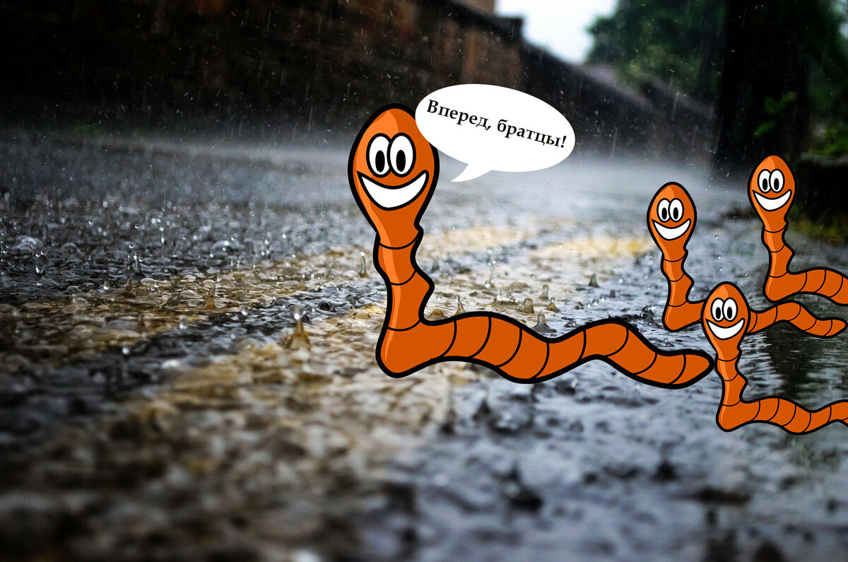 Изображение подготовлено на основе Pixabay