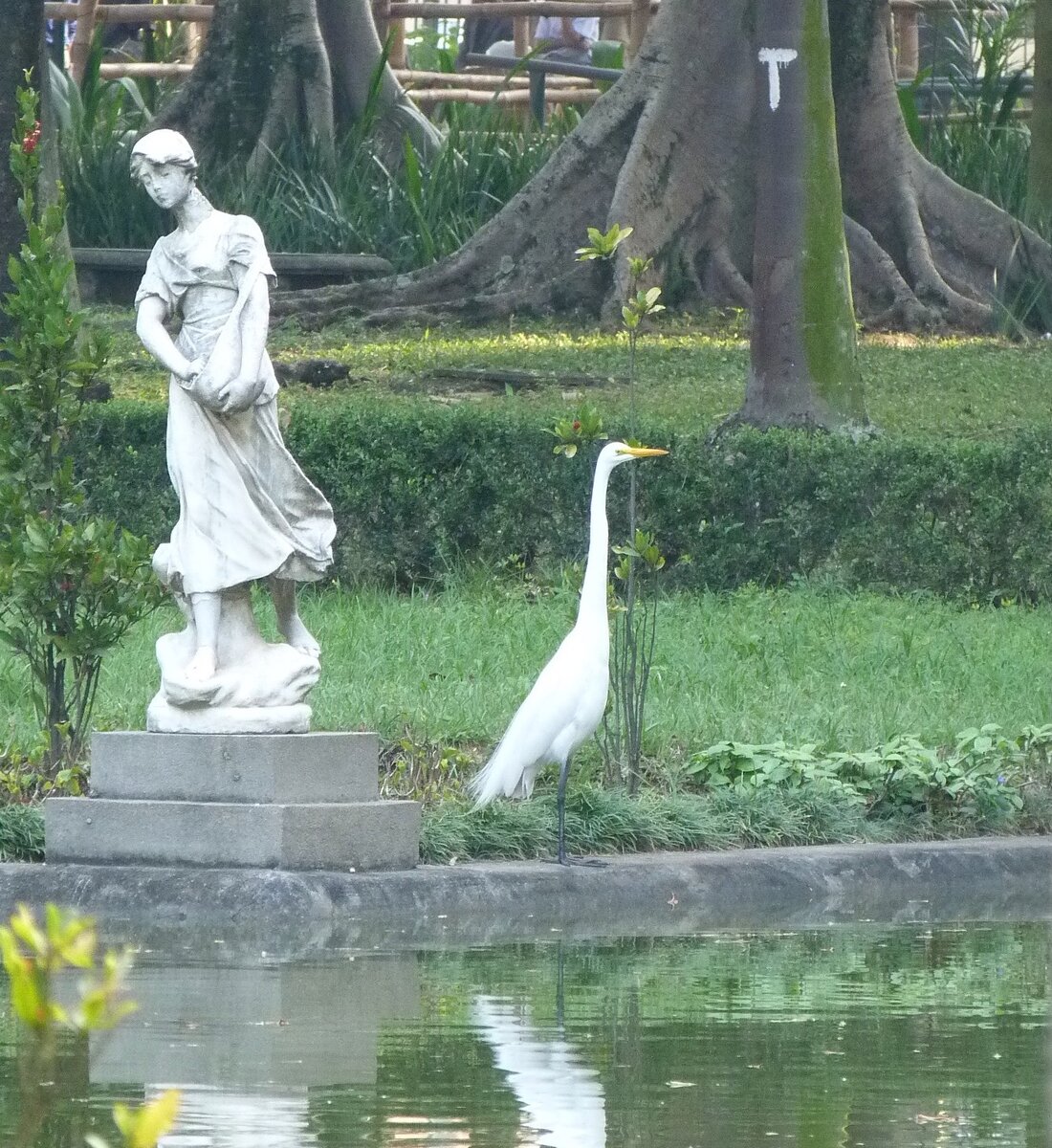 В общественном парке.