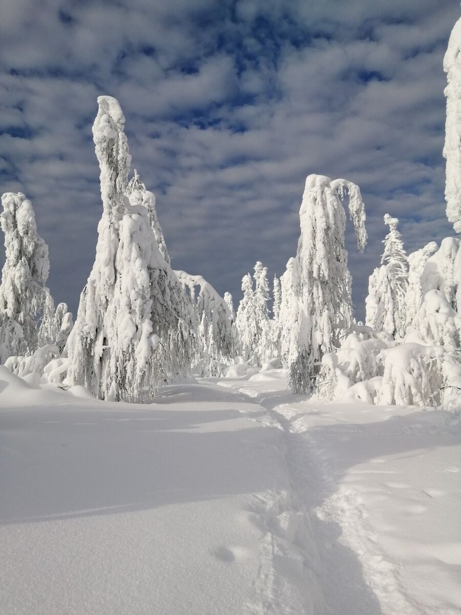 Дорога на Каменный город (12 февраля 2020 года)