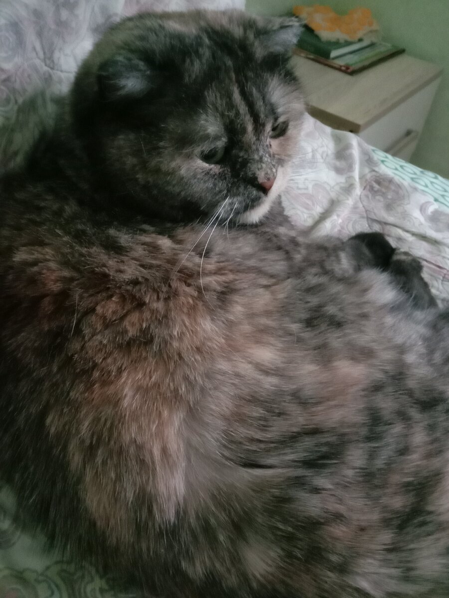 Фото автора. Поголодаю немного